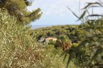 Thumbnail 6 van Grundstück zum kauf in Benissa / Spanien #44816