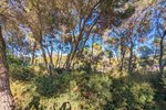 Thumbnail 10 van Villa zum kauf in Moraira / Spanien #59255