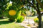 Thumbnail 49 van Villa zum kauf in Denia / Spanien #59930