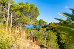 Thumbnail 2 van Grundstück zum kauf in Altea / Spanien #62261