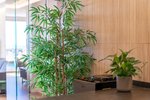 Thumbnail 15 van Appartement zum kauf in Altea / Spanien #62396