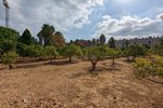 Thumbnail 10 van Finca zum kauf in Denia / Spanien #59042