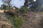 Thumbnail 6 van Grundstück zum kauf in Moraira / Spanien #59268