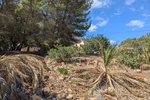 Thumbnail 11 van Grundstück zum kauf in Denia / Spanien #59338