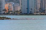 Thumbnail 30 van Villa zum kauf in Calpe / Spanien #62315