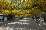 Thumbnail 15 van Villa zum kauf in Moraira / Spanien #61286