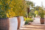 Thumbnail 26 van Finca zum kauf in Pedreguer / Spanien #62227