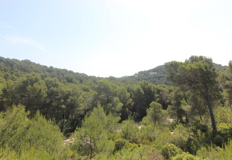 Detailbild Grundstück zum kauf in Jávea / Spanien #61055