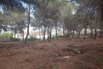 Thumbnail 4 van Grundstück zum kauf in Moraira / Spanien #47769