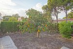 Thumbnail 45 van Villa zum kauf in Denia / Spanien #59294