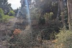 Thumbnail 5 van Grundstück zum kauf in Moraira / Spanien #59268