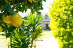 Thumbnail 51 van Villa zum kauf in Denia / Spanien #59930