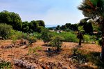 Thumbnail 1 van Grundstück zum kauf in Moraira / Spanien #58994