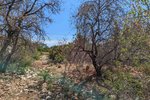 Thumbnail 4 van Grundstück zum kauf in Denia / Spanien #59336