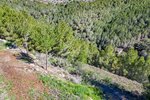 Thumbnail 47 van Villa zum kauf in Altea / Spanien #59589