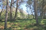 Thumbnail 4 van Grundstück zum kauf in Jávea / Spanien #58304