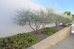 Thumbnail 50 van Design-Villen zum kauf in Moraira / Spanien #59446
