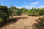 Thumbnail 6 van Finca zum kauf in Denia / Spanien #59042