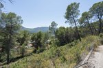 Thumbnail 20 van Villa zum kauf in Alcalali / Spanien #60520