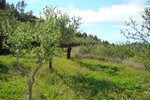 Thumbnail 9 van Grundstück zum kauf in Benissa / Spanien #36555