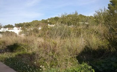 Grundstück zum kauf in Moraira / Spanien