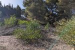 Thumbnail 7 van Grundstück zum kauf in Moraira / Spanien #59268