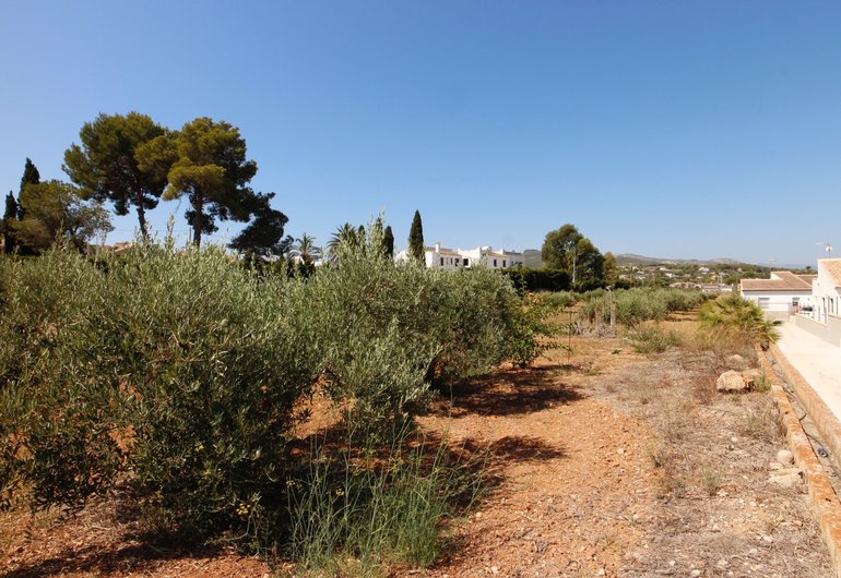 Detailbild Grundstück zum kauf in Jávea / Spanien #58269