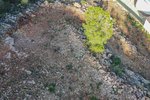 Thumbnail 6 van Grundstück zum kauf in Pego / Spanien #59592