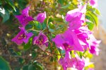 Thumbnail 22 van Villa zum kauf in Jávea / Spanien #59516