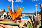 Thumbnail 15 van Villa zum kauf in Benitachell / Spanien #61006