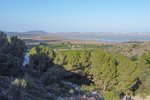 Thumbnail 4 van Grundstück zum kauf in Pego / Spanien #59592