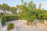Thumbnail 46 van Villa zum kauf in Denia / Spanien #59294