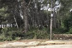 Thumbnail 10 van Grundstück zum kauf in Jávea / Spanien #43741