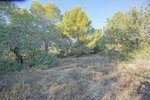 Thumbnail 9 van Grundstück zum kauf in Benissa / Spanien #51435