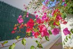 Thumbnail 7 van Villa zum kauf in Jávea / Spanien #59743