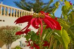 Thumbnail 33 van Villa zum kauf in Benissa / Spanien #59663