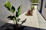 Thumbnail 27 van Villa zum kauf in Polop / Spanien #59000