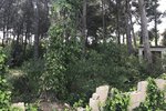 Thumbnail 13 van Grundstück zum kauf in Jávea / Spanien #43741