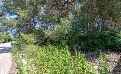 Grundstück zum kauf in Jávea / Spanien