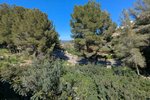 Thumbnail 28 van Villa zum kauf in Pedreguer / Spanien #60388