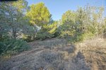 Thumbnail 8 van Grundstück zum kauf in Benissa / Spanien #51435