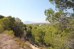 Thumbnail 2 van Grundstück zum kauf in Altea / Spanien #42295