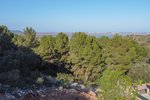 Thumbnail 1 van Grundstück zum kauf in Pego / Spanien #59592