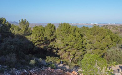 Grundstück zum kauf in Pego / Spanien