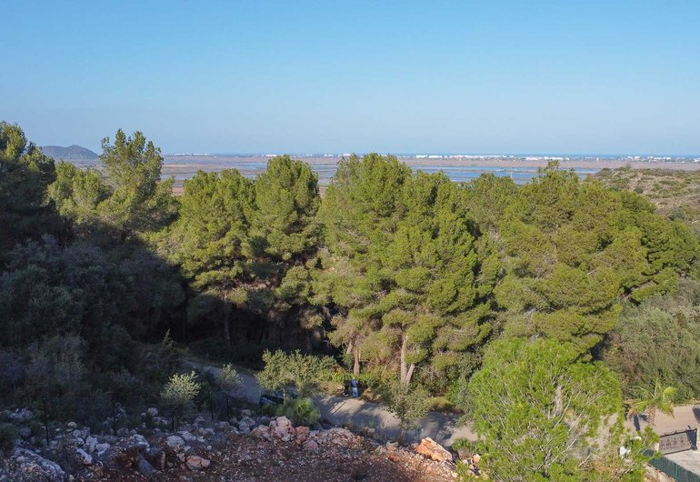 Detailbild Grundstück zum kauf in Pego / Spanien #59592