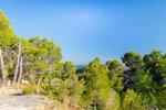 Thumbnail 7 van Grundstück zum kauf in Altea / Spanien #62261