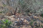 Thumbnail 8 van Grundstück zum kauf in Denia / Spanien #59338