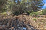 Thumbnail 10 van Grundstück zum kauf in Denia / Spanien #59338