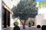 Thumbnail 6 van Villa zum kauf in Denia / Spanien #60518