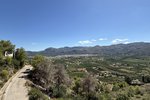 Thumbnail 17 van Villa zum kauf in Pego / Spanien #62208